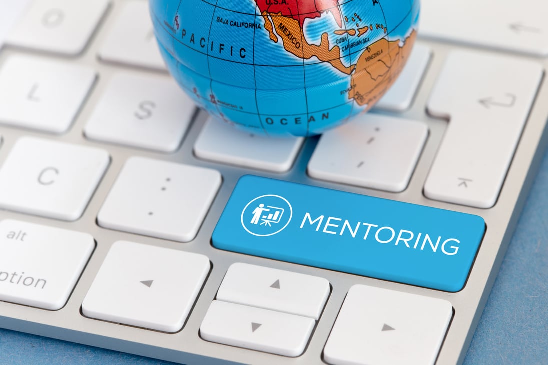 MENTORING CONCEPT